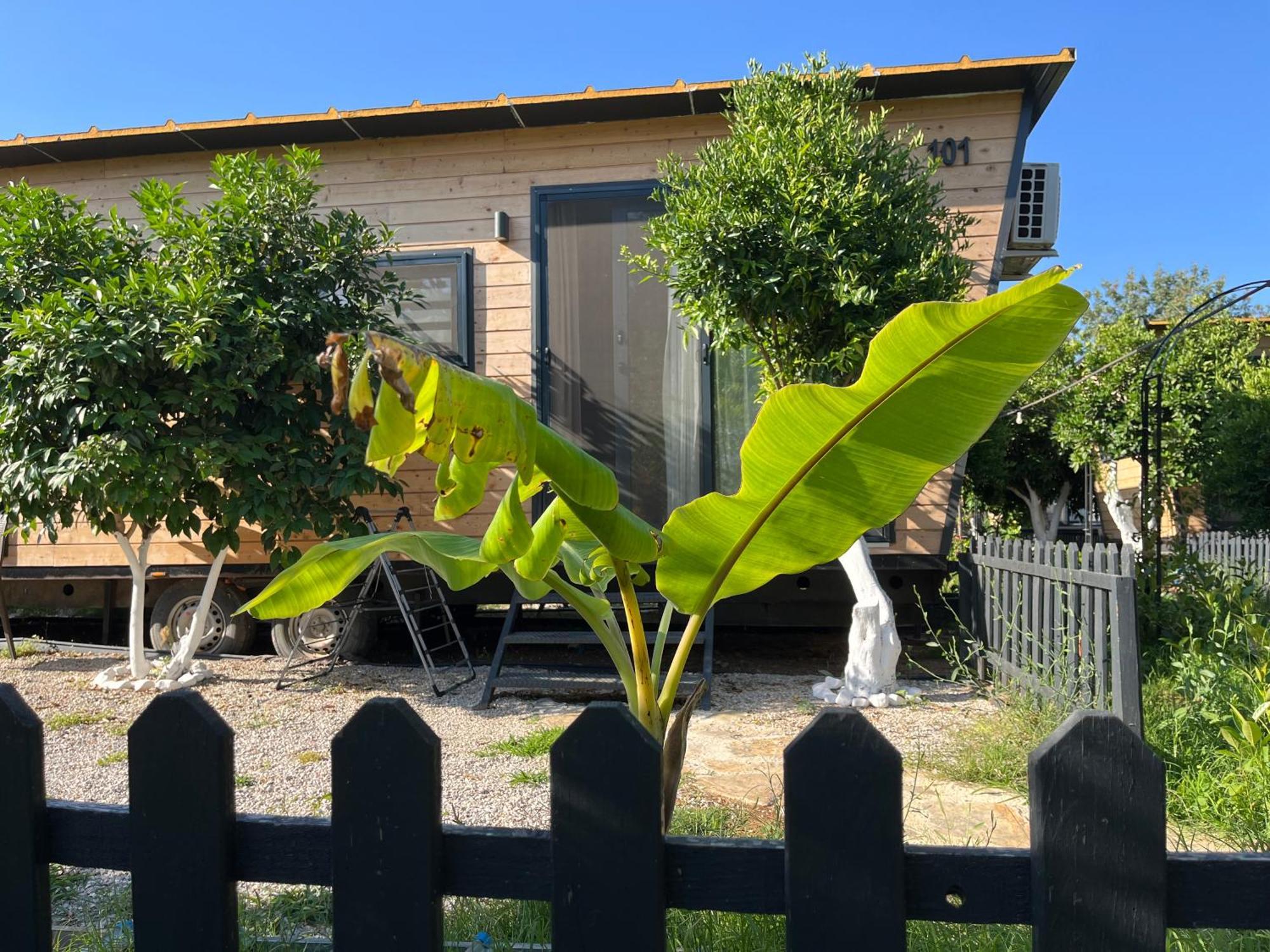 Gaia Tiny Houses Butik Hotel Bodrum Exterior foto